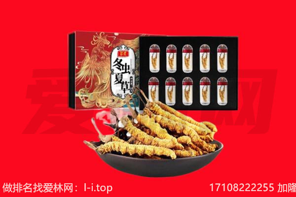 海东回收虫草.jpg